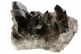 Dark Smoky Quartz Crystal Cluster - Brazil #84848-1